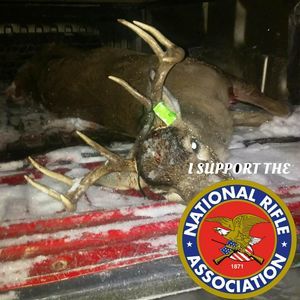 Meet your Posher, Tim